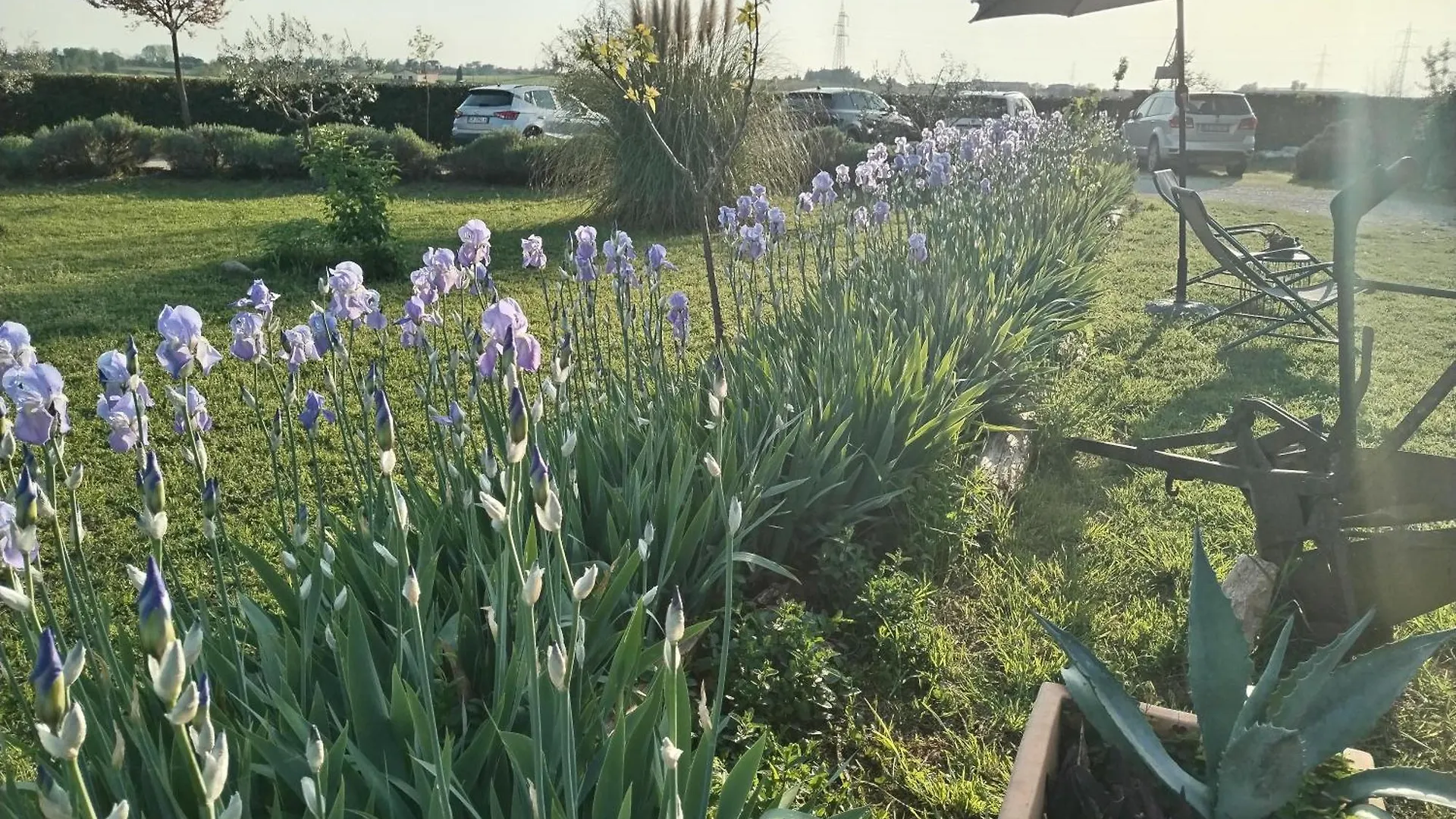 Ca' Blanca Bed and Breakfast Castelnuovo del Garda Bed & Breakfast